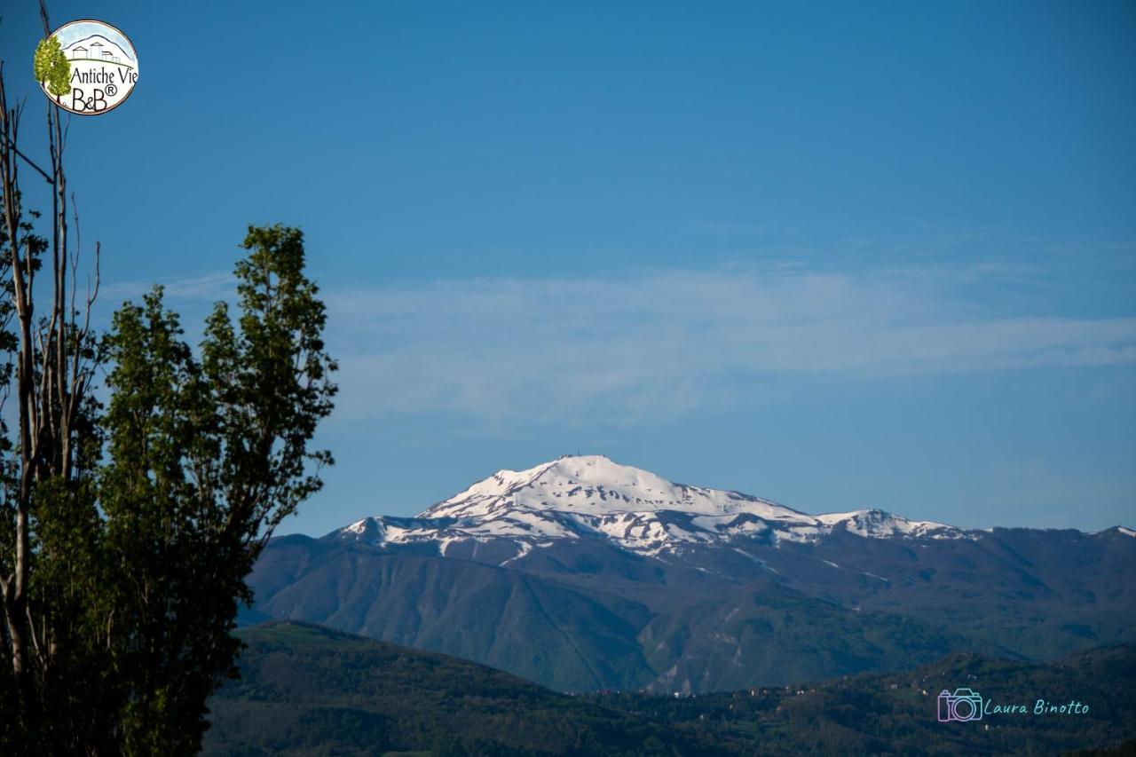 Antiche Vie B&B Serramazzoni Luaran gambar