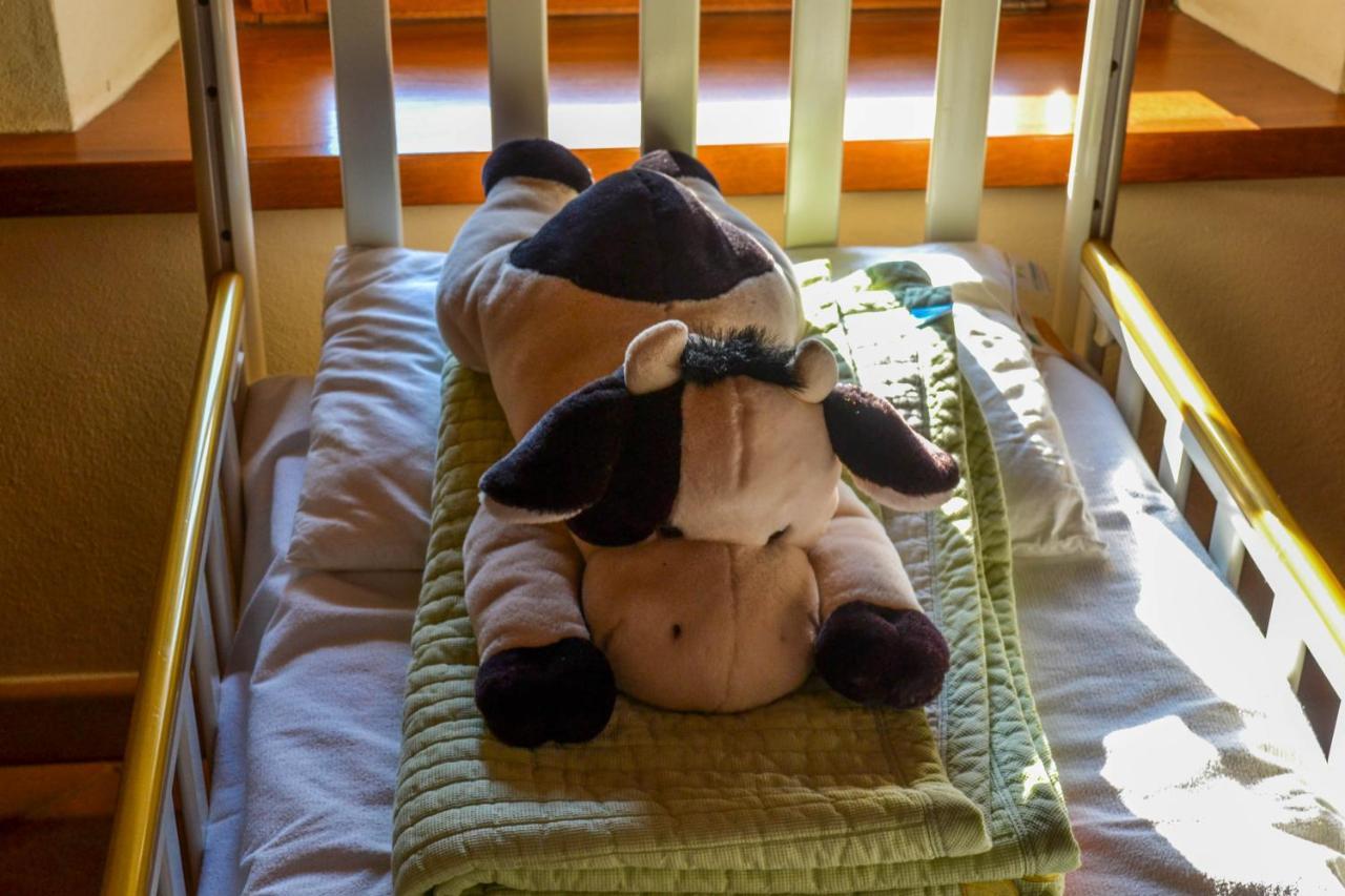 Antiche Vie B&B Serramazzoni Luaran gambar