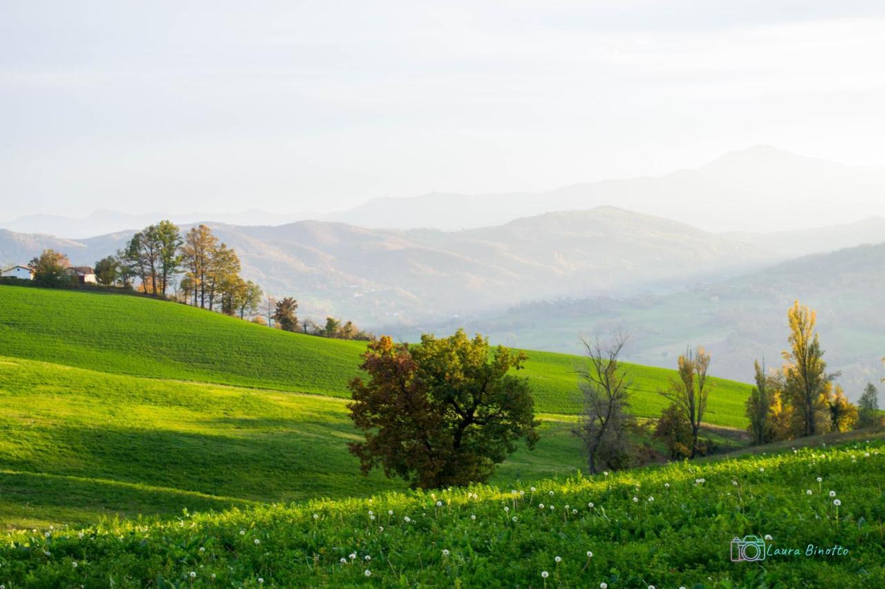 Antiche Vie B&B Serramazzoni Luaran gambar